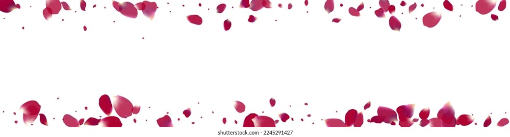 Beautiful Blossom Falling Vector White Panoramic Background. Japanese Rose Design. Delicate Flower Spring Frame. Purple Peach Fall Template.