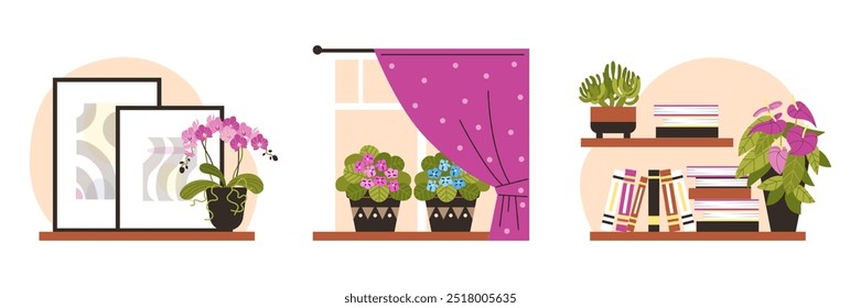 Beautiful blossom flowerpot interior decorations. Wooden shelf with paintings and pink orchid in pot. Violets pots at window with curtains. Bookcase with succulents. Vector flat illustrations set