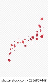 Beautiful Blossom Fly Vector Transparent Background. Blur Cherry Banner. Delicate Rose Fall Frame. Red Floral Summer Pattern.