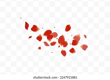 Beautiful Blossom Fly Vector Transparent Background. Beauty Cherry Backdrop. Delicate Petal Japanese Banner. Red Flower Spring Illustration.