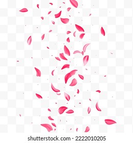 Beautiful Blossom Flying Vector Transparent Background. Beauty Floral Pattern. Pink Peach Tender Wallpaper. Delicate Rose Fall Frame.
