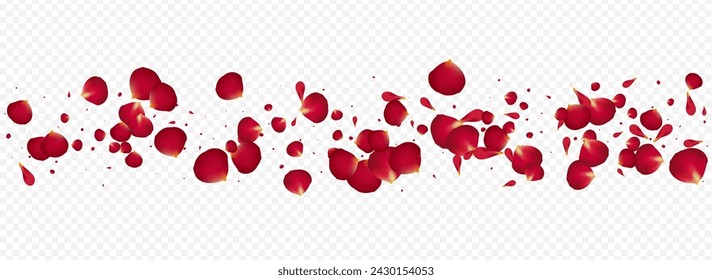 Beautiful Blossom Japan Vector Panoramic Transparent Background. Flying Floral Wallpaper. Pink Flower Beauty Banner. Red Peach Fall Cover.