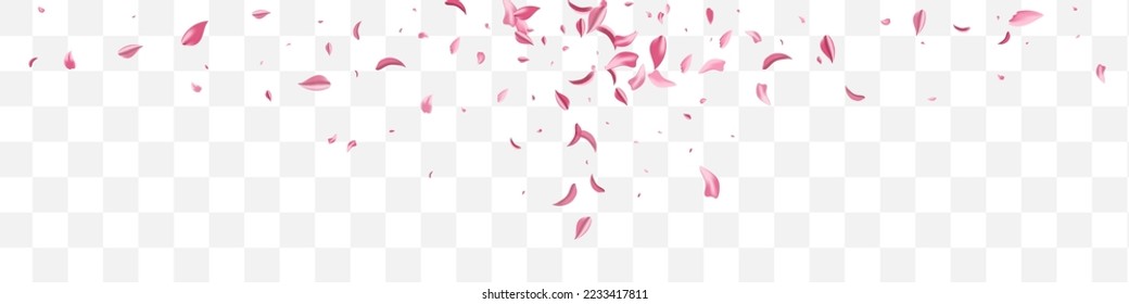 Beautiful Blossom Spring Vector Transparent Panoramic Background. Summer Flower Template. Pink Sakura Tender Design. Delicate Rose Beauty Texture.