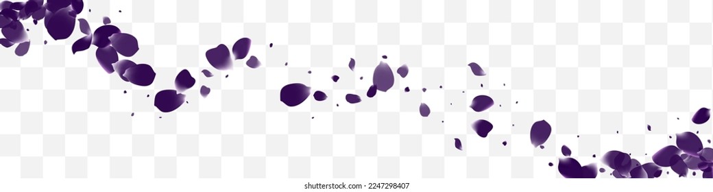 Beautiful Blossom Spring Vector White Transparent Panoramic Background. Falling Floral Backdrop. Delicate Tulip Blur Yellow. Purple Petal Night Cover.