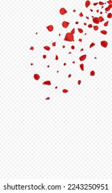 Hermoso Vector Verano Blossom Fondo Transparente. Diseño de rosas de belleza. Delicado cartel japonés de Petal. Afiche de la Primavera Sakura Roja.