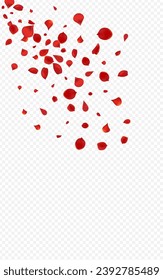 Beautiful Blossom Summer Vector Transparent Background. Japanese Peach Banner. Red Flower Falling Texture. Delicate Rose Fall Backdrop.