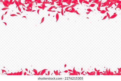 Beautiful Blossom Vector Transparent Background. Japan Peach Texture. Pink Cherry Japanese Design. Red Blur Lotus Cover.