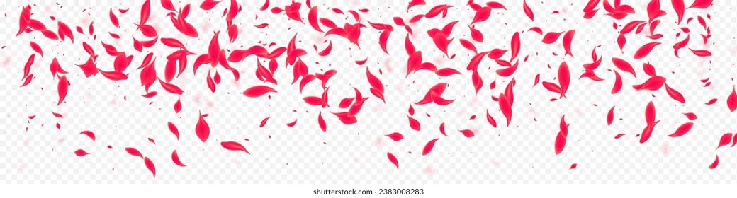 Beautiful Blossom Vector Transparent Panoramic Background. Summer Flower Poster. Red Peach Falling Design. Delicate Japanese Petal Illustration.