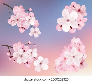 Beautiful blossoming dark and light pink sakura  flowers. Set of realistic flowering cerry branches. Vector illustration