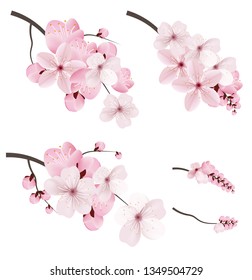 Beautiful blossoming dark and light pink sakura  flowers. Set of realistic flowering cerry branches. Vector illustration