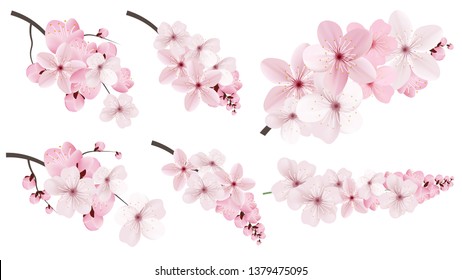 Beautiful blossoming dark and light pink sakura  flowers. Set of realistic flowering cerry branches. Vector illustration