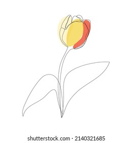 Beautiful blossoming tulip flower in continuous line art drawing style. Minimalist black linear sketch isolated on white background. Vector illustration.