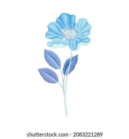 Beautiful blue anemone flower, trendy color floral design element vector illustration