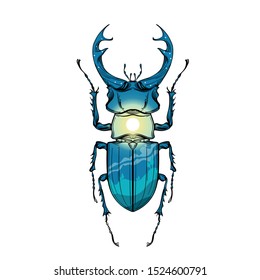 Beautiful blue beetle stag with landscape print on a white background in linear style. Hand-drawn.