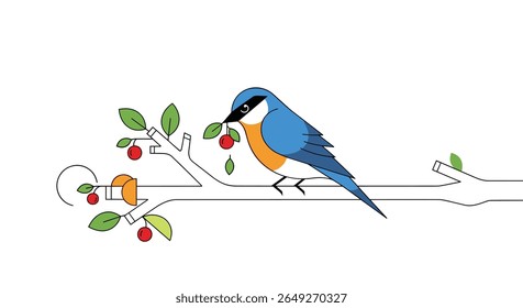 A Beautiful Blue Bird with Orange Underbelly Savors Ripe Red Berries from a Branch