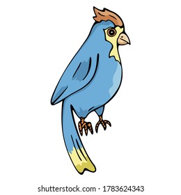 Beautiful Blue Bird With Yellow Accent Cute Pet Animal Design