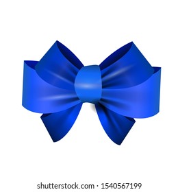 Beautiful blue bow isolated vector