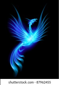 Beautiful Blue Burning Phoenix. Illustration isolated over black background