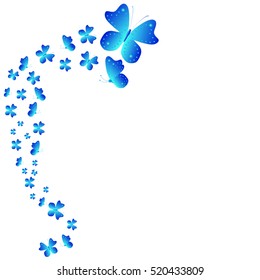 beautiful blue butterflies, isolated on a white