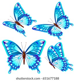 beautiful blue butterflies, isolated  on a white