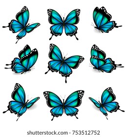 beautiful blue butterflies, isolated  on a white