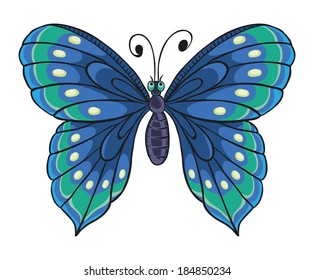 Beautiful blue butterfly