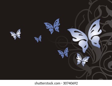 Beautiful blue butterfly