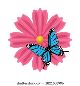 beautiful blue butterfly flying with pink flower vector illustration design