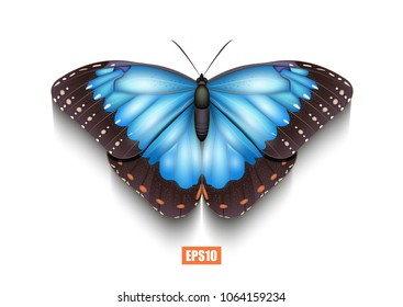 Beautiful blue butterfly isolated on white background. Insects, nature. 3D effect. Vector illustration.