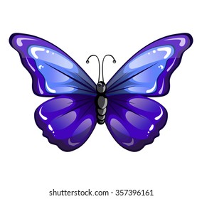 beautiful blue butterfly on a white background vector