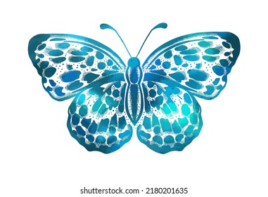 Beautiful blue butterfly. Vector illustration