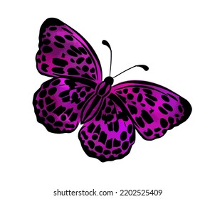 Hermosa mariposa azul. Ilustración del vector