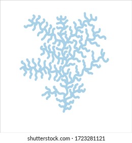 Beautiful blue coral with a lot of twigs. Isolate on a white background.