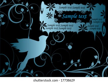 beautiful blue  dove on black background