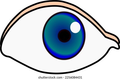 beautiful blue eye vector art