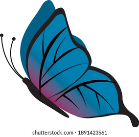 beautiful blue fluttering butterfly art