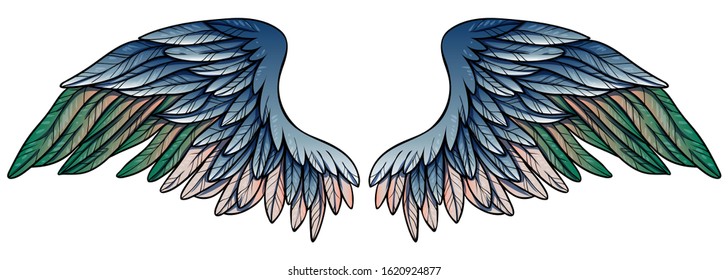 Beautiful blue green powdery beige wings, hand drawn vector