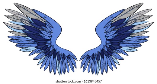 Beautiful blue grey magic elegant wings, vector