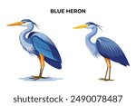 Beautiful Blue Heron on white background vector illustration