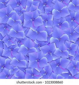  Beautiful blue hydrangea background. Vector illustration