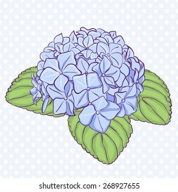 Beautiful blue hydrangea flowers. Decorative floral illustration