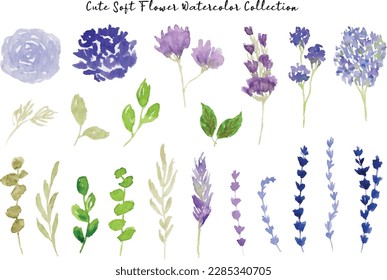 Beautiful Blue and Purple Flower Watercolor Illustration