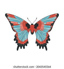 beautiful blue and red butterfly