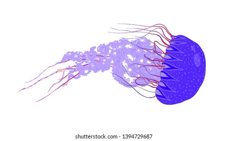 beautiful blue sea jellyfish with spots
