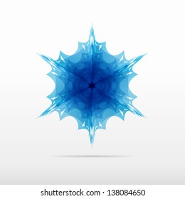 beautiful blue snowflake flower vector design