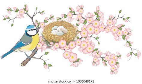 Beautiful Blue Tit on a branch with nest and wonderful flowers