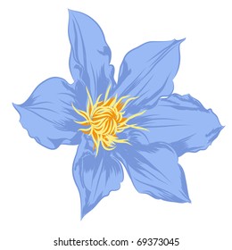 beautiful blue vector flowers on white background