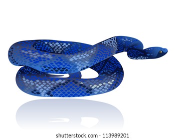 Beautiful blue water snake realistic