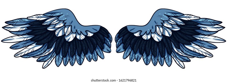 Beautiful blue wings with white feathers, hand drawn vector