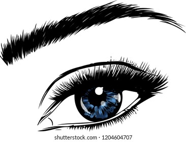 a Beautiful blue woman eye. Vector illustration